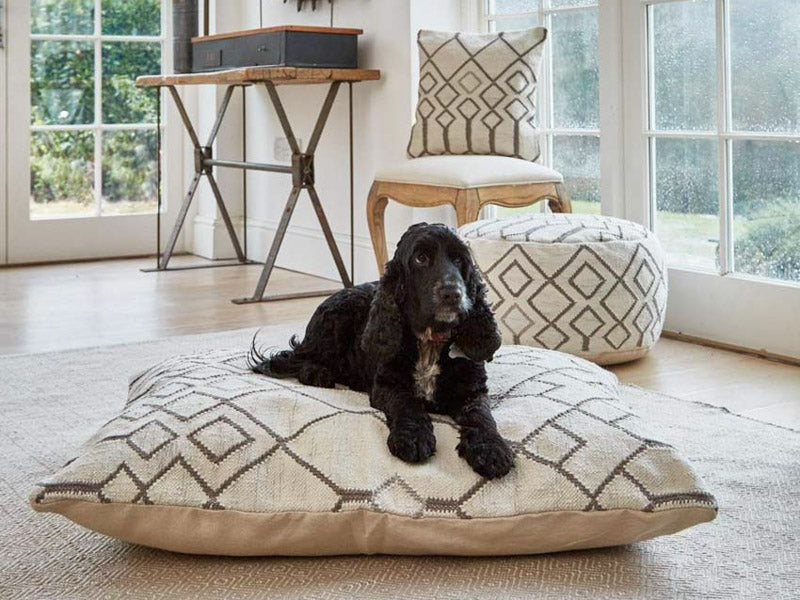 Pet weaves by hot sale raj dog bed