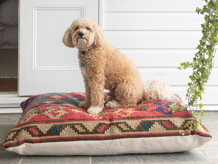 Garden Floor Cushions